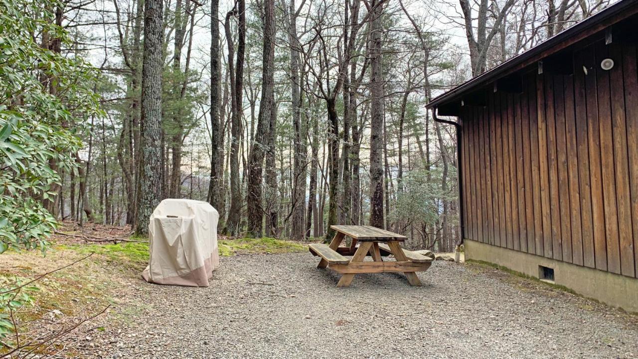 Villa Serenity On The Blue Ridge Parkway à Sparta Extérieur photo
